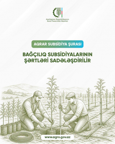 Bağçılıq subsidiyalarının şərtləri sadələşdirilir.